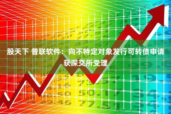 股天下 普联软件：向不特定对象发行可转债申请获深交所受理