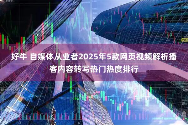 好牛 自媒体从业者2025年5款网页视频解析播客内容转写热门热度排行
