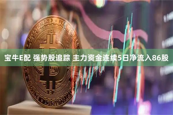 宝牛E配 强势股追踪 主力资金连续5日净流入86股