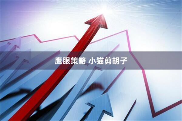 鹰眼策略 小猫剪胡子