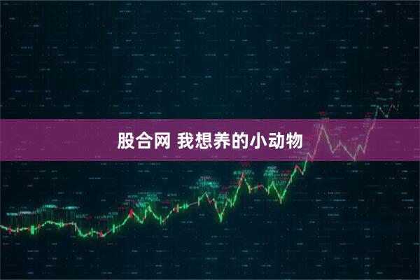 股合网 我想养的小动物
